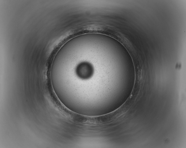 X0000111940727200907271412