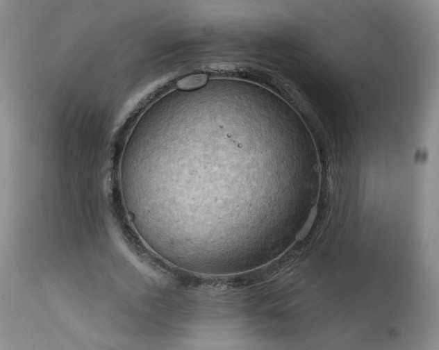 X0000111940728200907271412