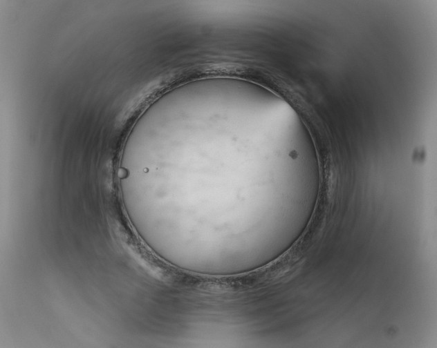 X0000111940729200907271412