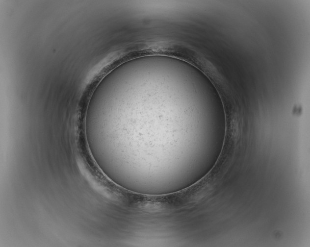 X0000111940730200907271412