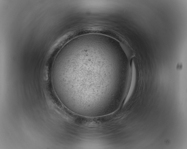 X0000111940731200907271412