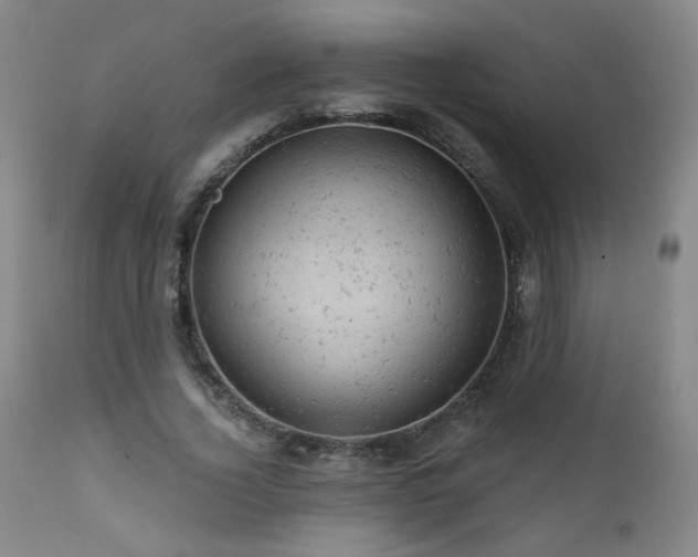 X0000111940732200907271412