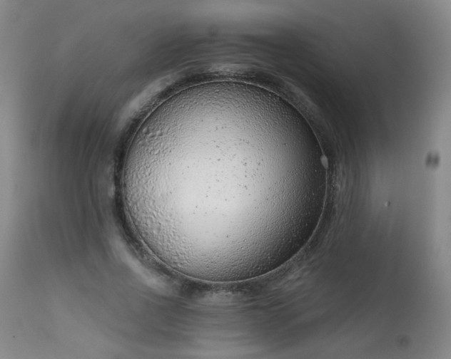 X0000111940734200907271412