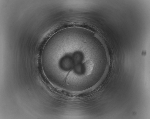 X0000111940735200907271412