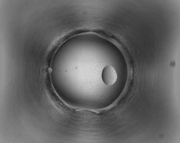 X0000111940736200907271412