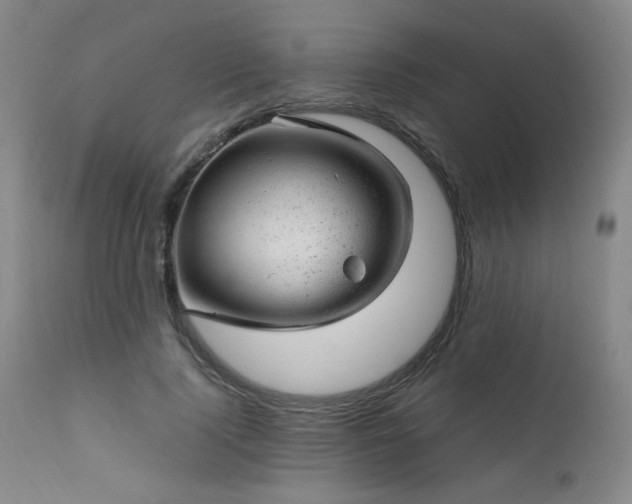 X0000111940740200907271412