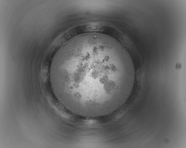 X0000111940741200907271412