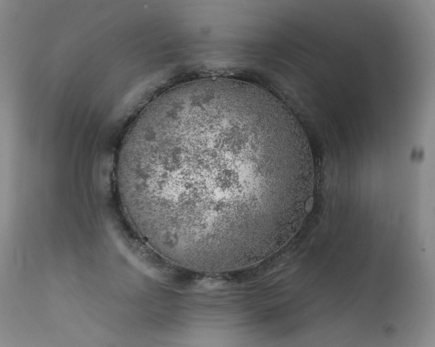 X0000111940742200907271412