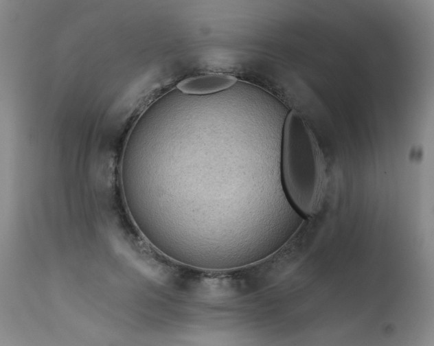 X0000111940744200907271412