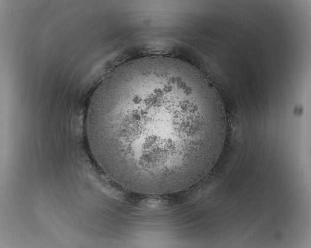 X0000111940745200907271413