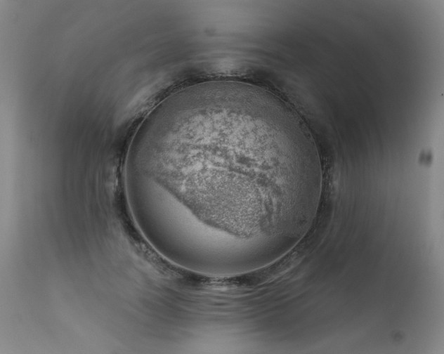 X0000111940746200907271413