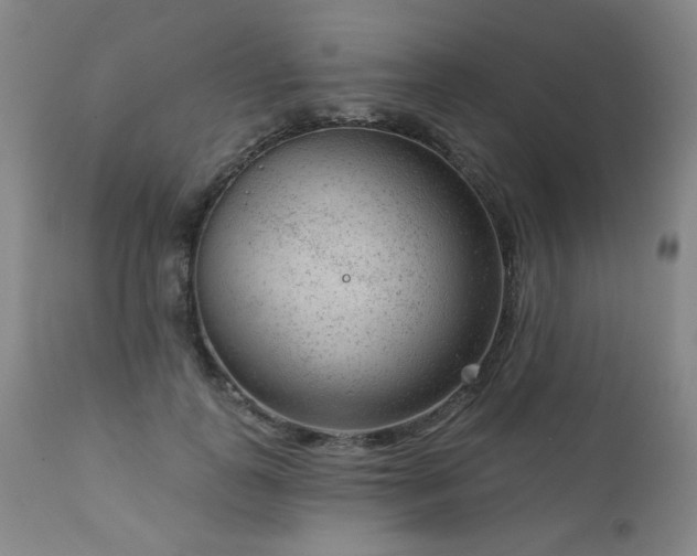 X0000111940747200907271413