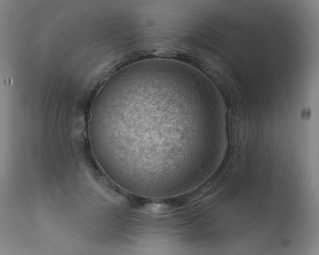 X0000111940748200907271413