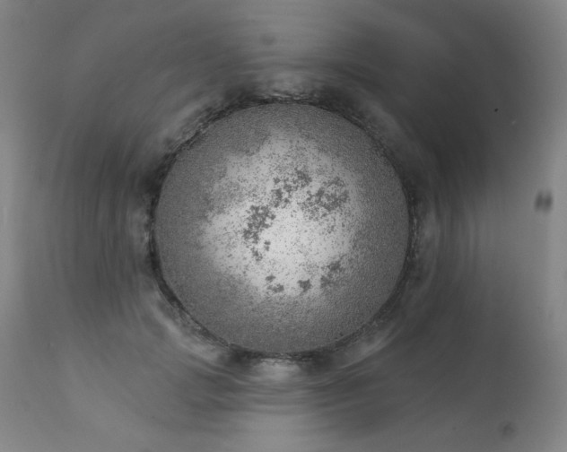 X0000111940749200907271413