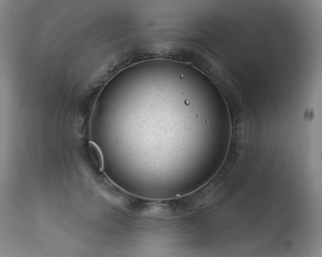 X0000111940750200907271413