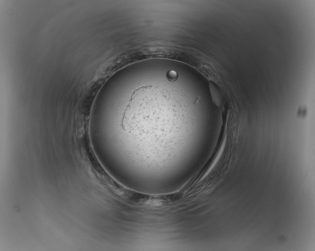 X0000111940751200907271413