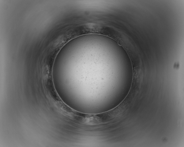 X0000111940752200907271413