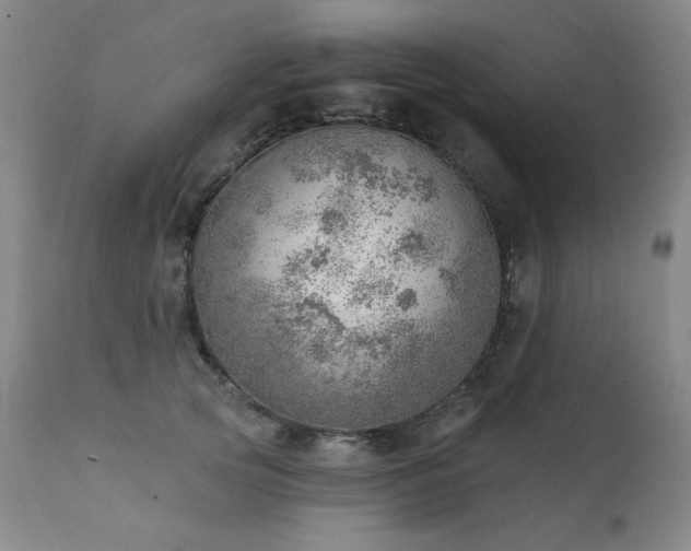 X0000111940753200907271413