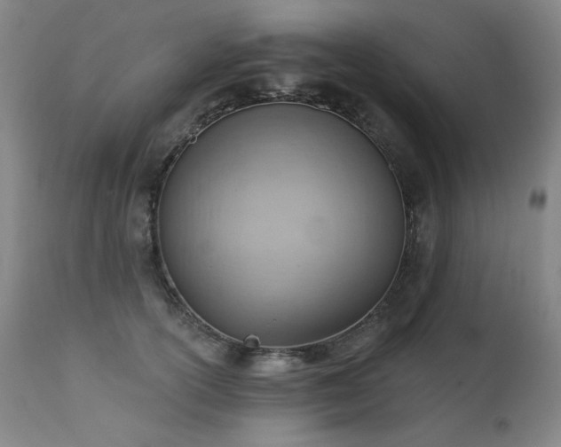 X0000111940754200907271413