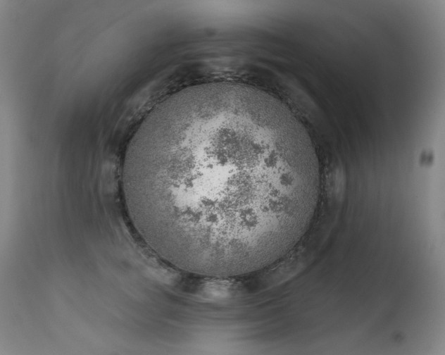 X0000111940757200907271413