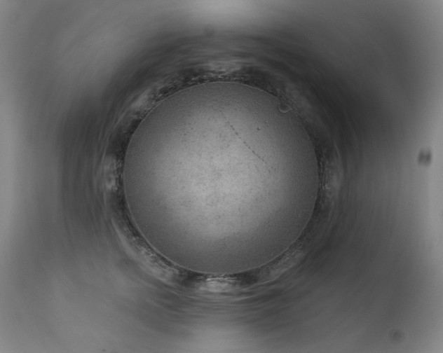 X0000111940758200907271413