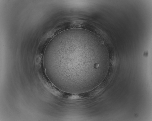 X0000111940759200907271413