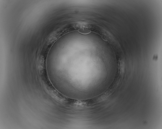 X0000111940760200907271413