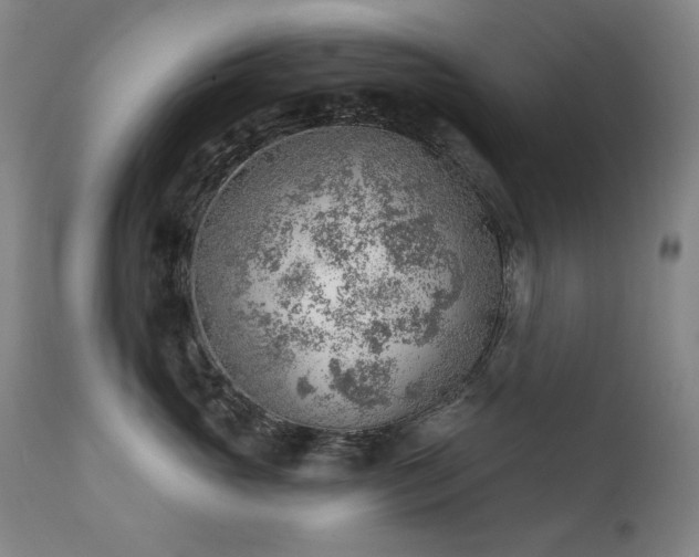 X0000111940765200907271413