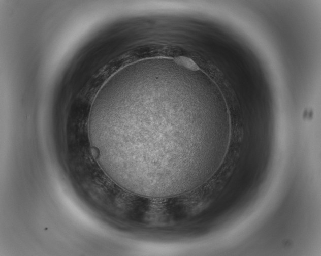 X0000111940766200907271413