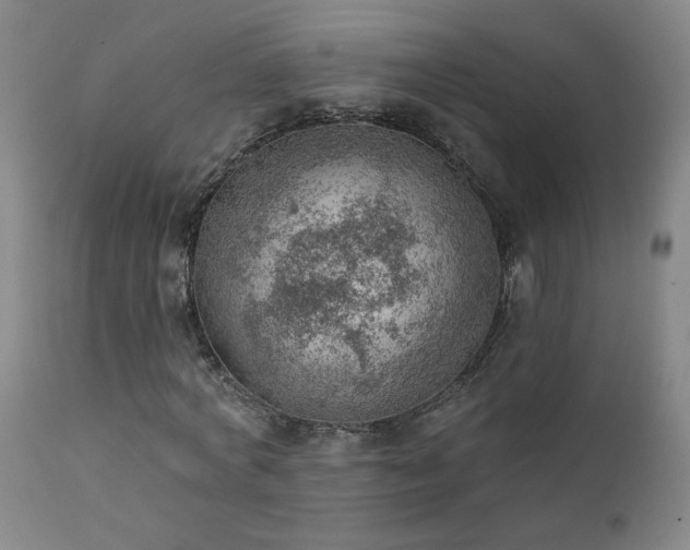 X0000111940772200907271412