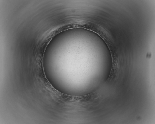 X0000111940773200907271412