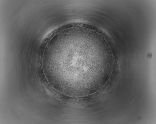 X0000111940775200907271412