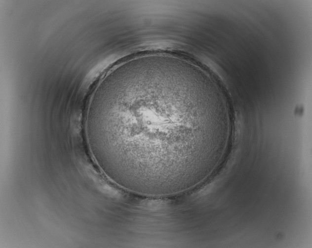 X0000111940778200907271412