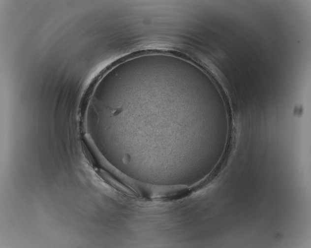 X0000111940779200907271412