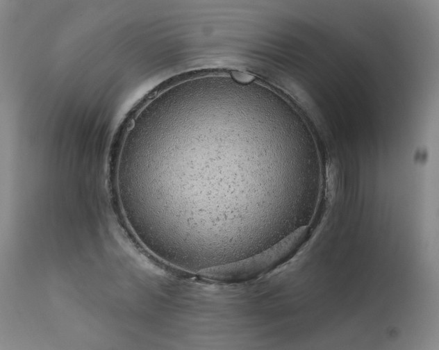 X0000111940780200907271412