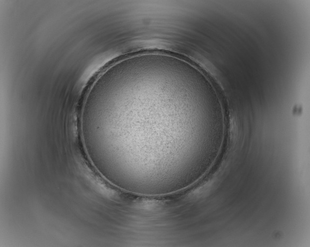 X0000111940782200907271412