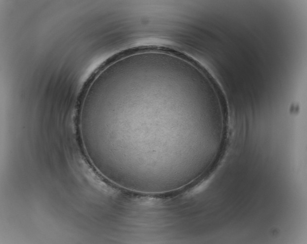 X0000111940783200907271412