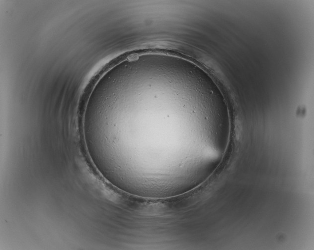 X0000111940784200907271412