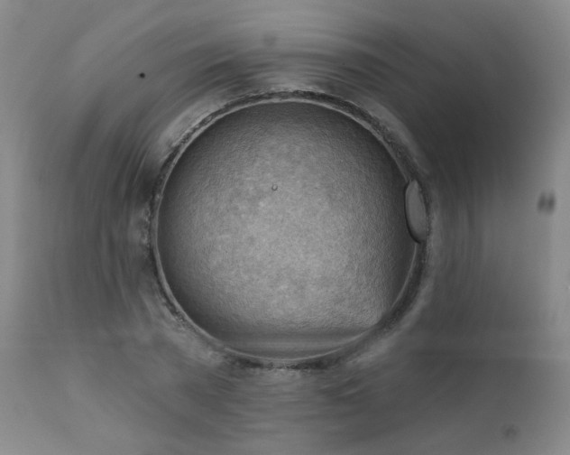 X0000111940785200907271412