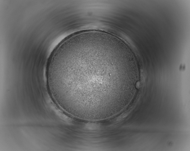 X0000111940788200907271412