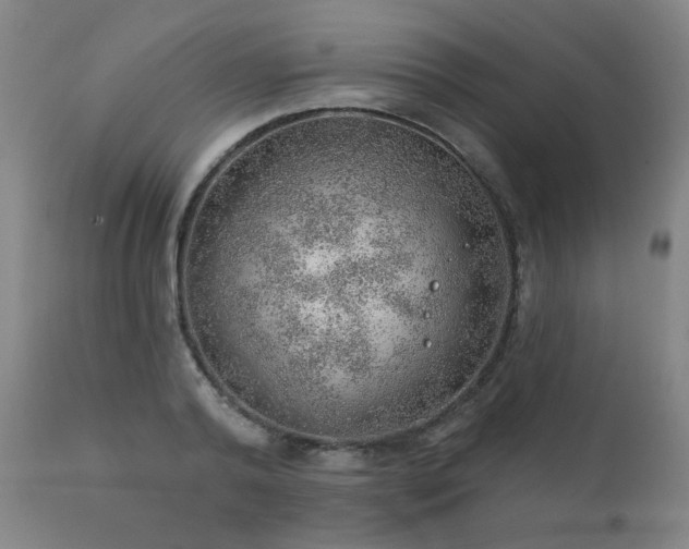 X0000111940792200907271412