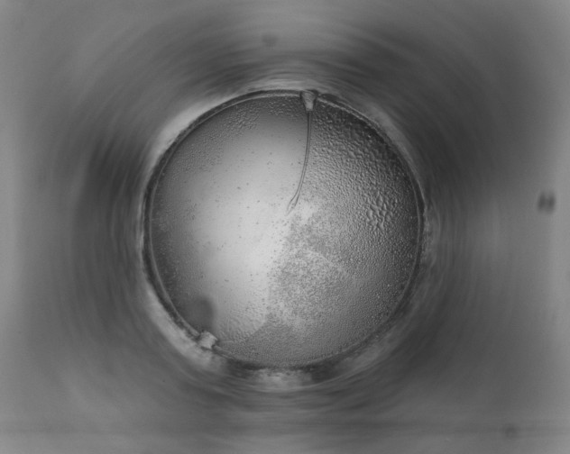 X0000111940795200907271412