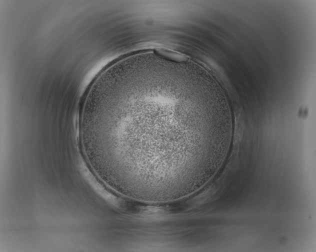 X0000111940796200907271412