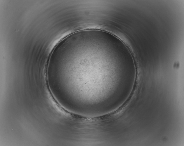 X0000111940806200907271411