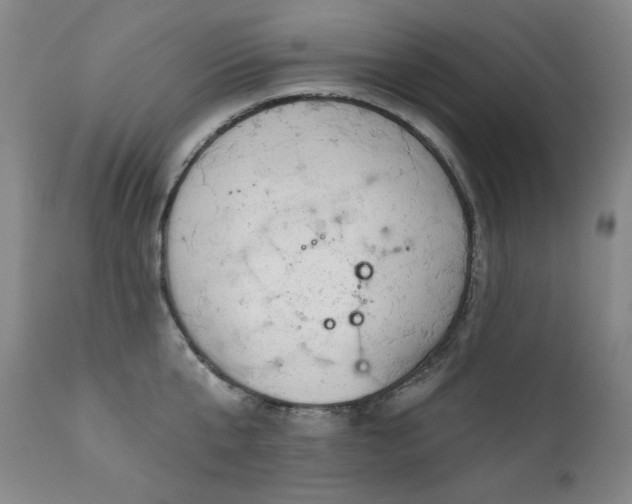 X0000111940807200907271411