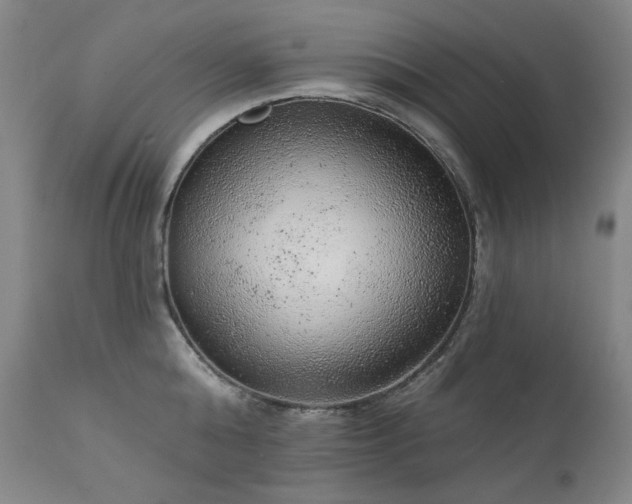 X0000111940808200907271411