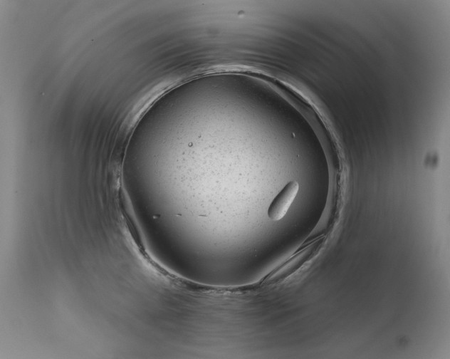 X0000111940809200907271411