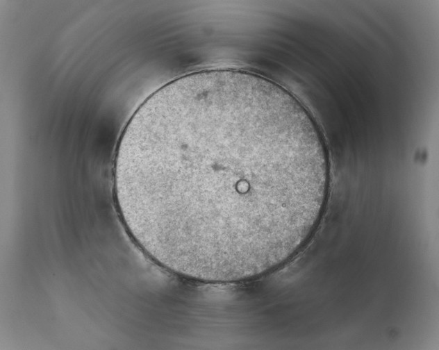 X0000111940810200907271411