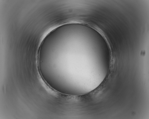 X0000111940811200907271411