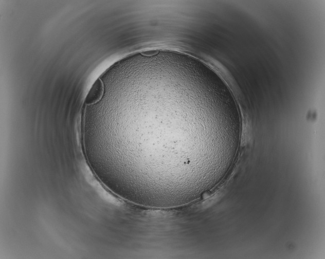 X0000111940812200907271411